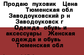 Продаю  пуховик › Цена ­ 2 200 - Тюменская обл., Заводоуковский р-н, Заводоуковск г. Одежда, обувь и аксессуары » Женская одежда и обувь   . Тюменская обл.